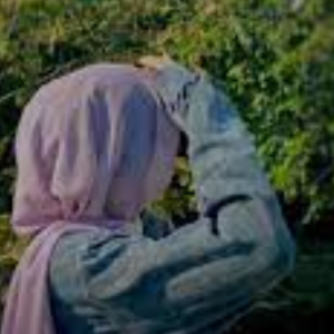 Fatima Ejaz-Freelancer in Karachi,Pakistan