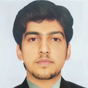 Waleed Shahkar-Freelancer in Jehangira,Pakistan