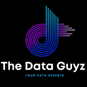The Data Guyz-Freelancer in Sydney,Australia