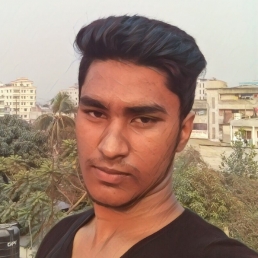 Alamin Hossain-Freelancer in Narayanganj,Bangladesh