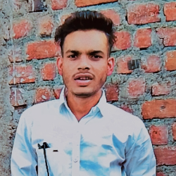 Raj Chouhan-Freelancer in Sagar,India