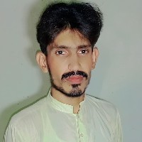 Hasnain Raza-Freelancer in Khushab,Pakistan