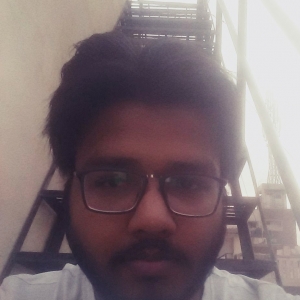 Mayank Mittal-Freelancer in Bengaluru Area, India,India