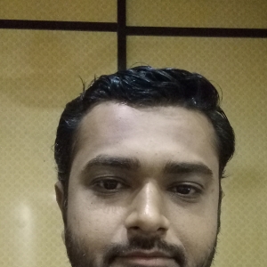Mehul Bhundiya-Freelancer in Rajkot,India