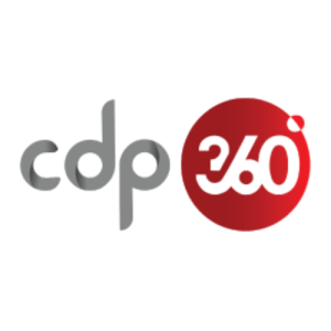 CDP 360 Technologies-Freelancer in Chennai,India