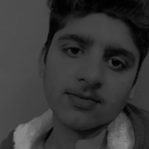 M Tayyab-Freelancer in Mian Channu,Pakistan