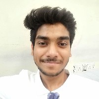 Ansh Chaudhary-Freelancer in Lucknow Division,India