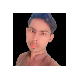 Haider Ali-Freelancer in sadiq abad,Pakistan