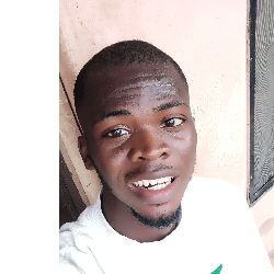 Evans Anisiobi-Freelancer in Anambra state,Nigeria