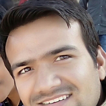 Naveen Jangir-Freelancer in Delhi,India