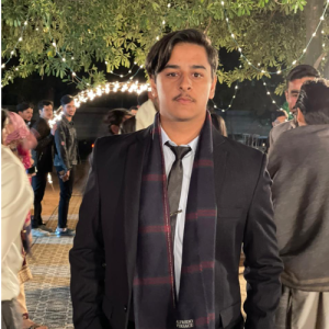 Malik Ibrahim-Freelancer in Islamabad,Pakistan