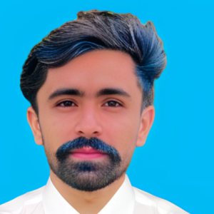 Safeer Abbas-Freelancer in Pindi bhattian,Pakistan