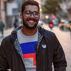 Mohamed Ahmed-Freelancer in Alexandria,Egypt