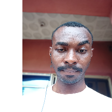 Christopher Ifejimalu-Freelancer in Anambra,Nigeria