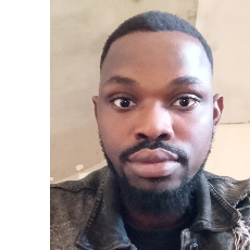 Gabriel Adesina-Freelancer in Abuja,Nigeria