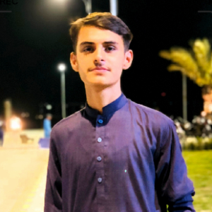 Abdul Hayee-Freelancer in Larkana,Pakistan