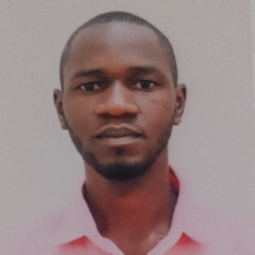 Gabriel Sarki-Freelancer in Nigeria,USA