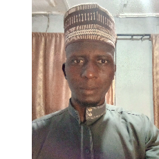 Saheed Olayinka Shittu-Freelancer in Kaduna,Nigeria