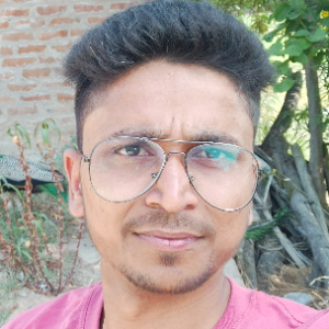 Lakhan Savita-Freelancer in Delhi,India