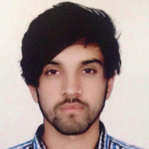 Nouman Hussain-Freelancer in Danyor,Pakistan