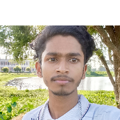 Jiban Paul-Freelancer in Siliguri,India