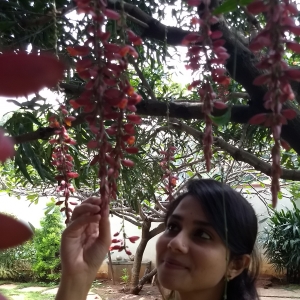Shilpa Hs-Freelancer in Bangalore,India