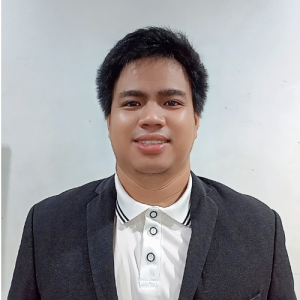 Stark Msi-Freelancer in Cebu City,Philippines