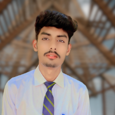 Zeeshan Rafi-Freelancer in Layyah Punjab Pakistan,Pakistan