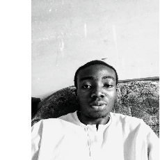 Wisdom Olusegun-Freelancer in Lagos,Nigeria