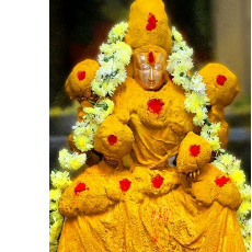 Telugu, Content Writing, Article Writing-Freelancer in Tirupati,India