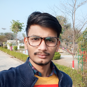 Prateek Sharma-Freelancer in Kanpur,India