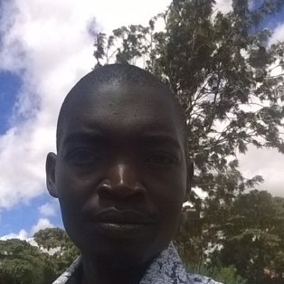 Evans Butala-Freelancer in MACHAKOS,Kenya