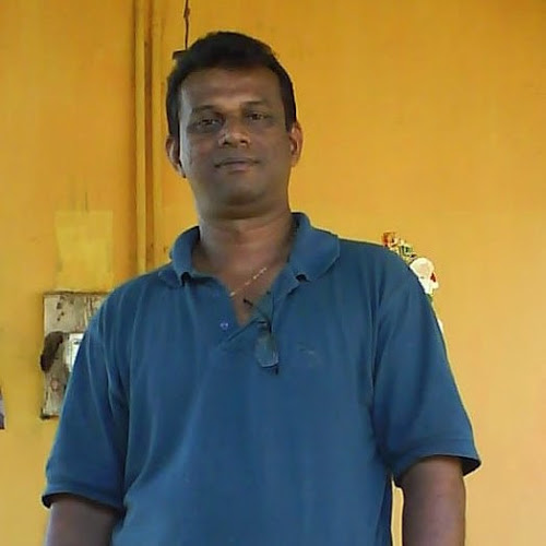 Ron Silva-Freelancer in Kiribathgoda,Sri Lanka