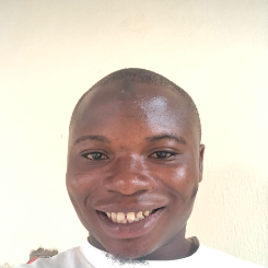 Babatunde Ibrahim-Freelancer in Ibadan,Nigeria