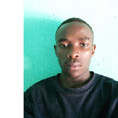 Niyonkuru Bertin-Freelancer in Kigali,Rwanda