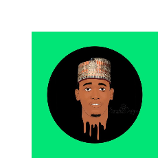 SameehnDesigns-Freelancer in Yola, Adamawa,Nigeria
