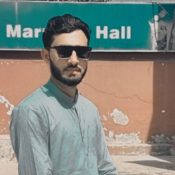 Sajjad Haider-Freelancer in Faisalabad,Pakistan