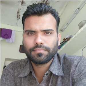 Nasir Husain-Freelancer in Bhilwara,India