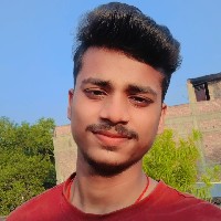Kartik Choudhary-Freelancer in Purnia,India