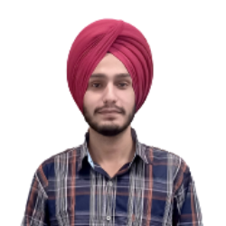 Tejinder Singh-Freelancer in ,India