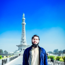 Muhammad Moiz-Freelancer in Faisalabad,Pakistan