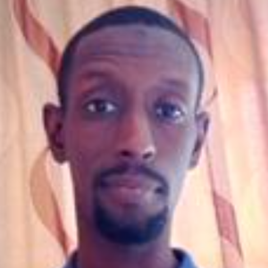 Abubakar Yahya Ardo-Freelancer in Abuja,Nigeria