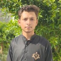Hamza-Freelancer in Bahawalpur,Pakistan