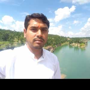 Manish Singh-Freelancer in Bilaspur,India