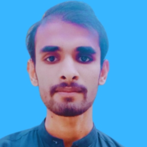 Muhammad Hasnain-Freelancer in Bahawalpur,Pakistan