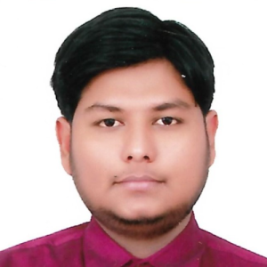 Syed Hasan Askari Rizvi-Freelancer in Noida,India