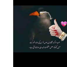 Sheikh Ashi-Freelancer in Lahore,Pakistan