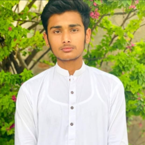 Syed Alamdar Abbas Shah-Freelancer in Pakistan,Pakistan