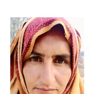 Farzana Bib-Freelancer in Liaqat pur,Pakistan