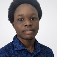 Muyiwa Adesanya-Freelancer in Lagos State.,Nigeria